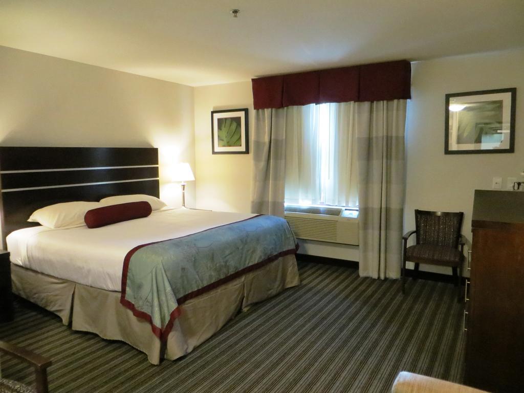 Super 8 By Wyndham Saskatoon Near Downtown Hotel Eksteriør billede